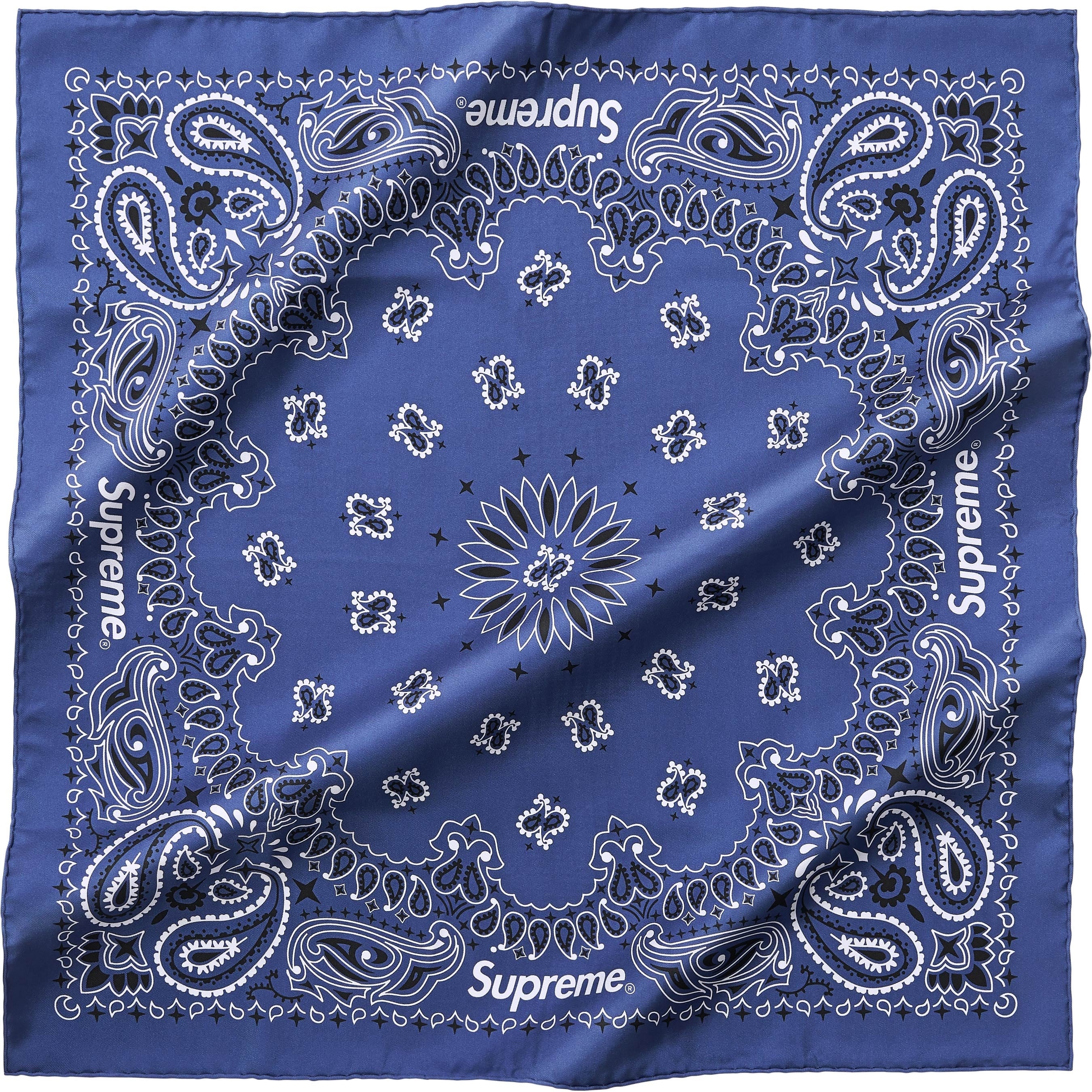 Silk Bandana view 2